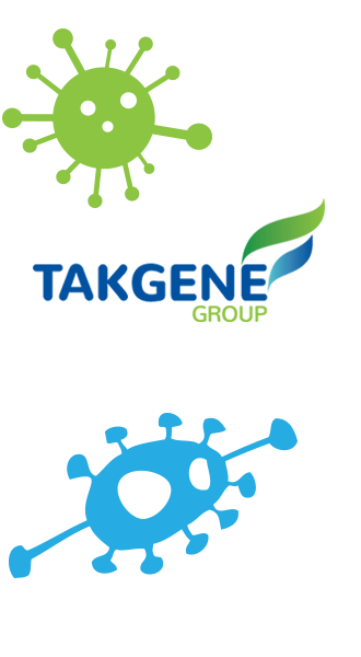 home-takgene-group