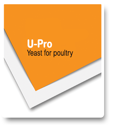 en-feed-poultry-upro